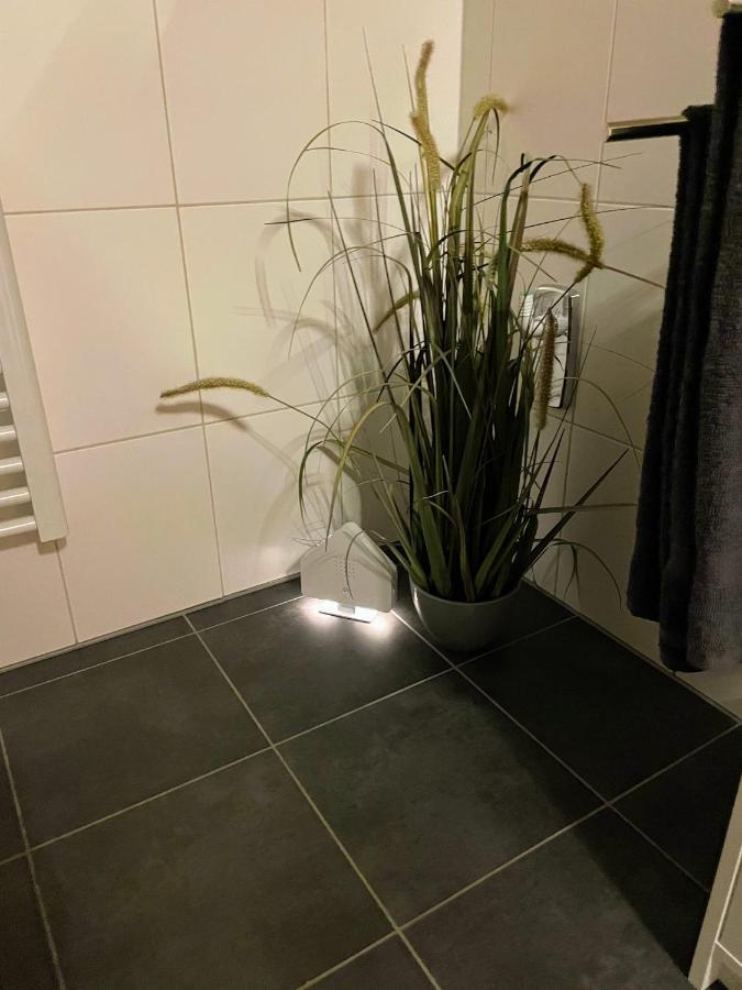 Apartment Zur Wiege Anhalts Ballenstedt Kültér fotó